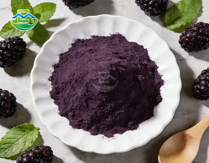 Blackberry Juice Powder